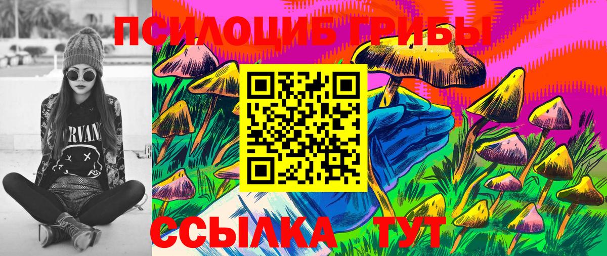 Галлюциногенные грибы MAGIC MUSHROOMS Кизляр